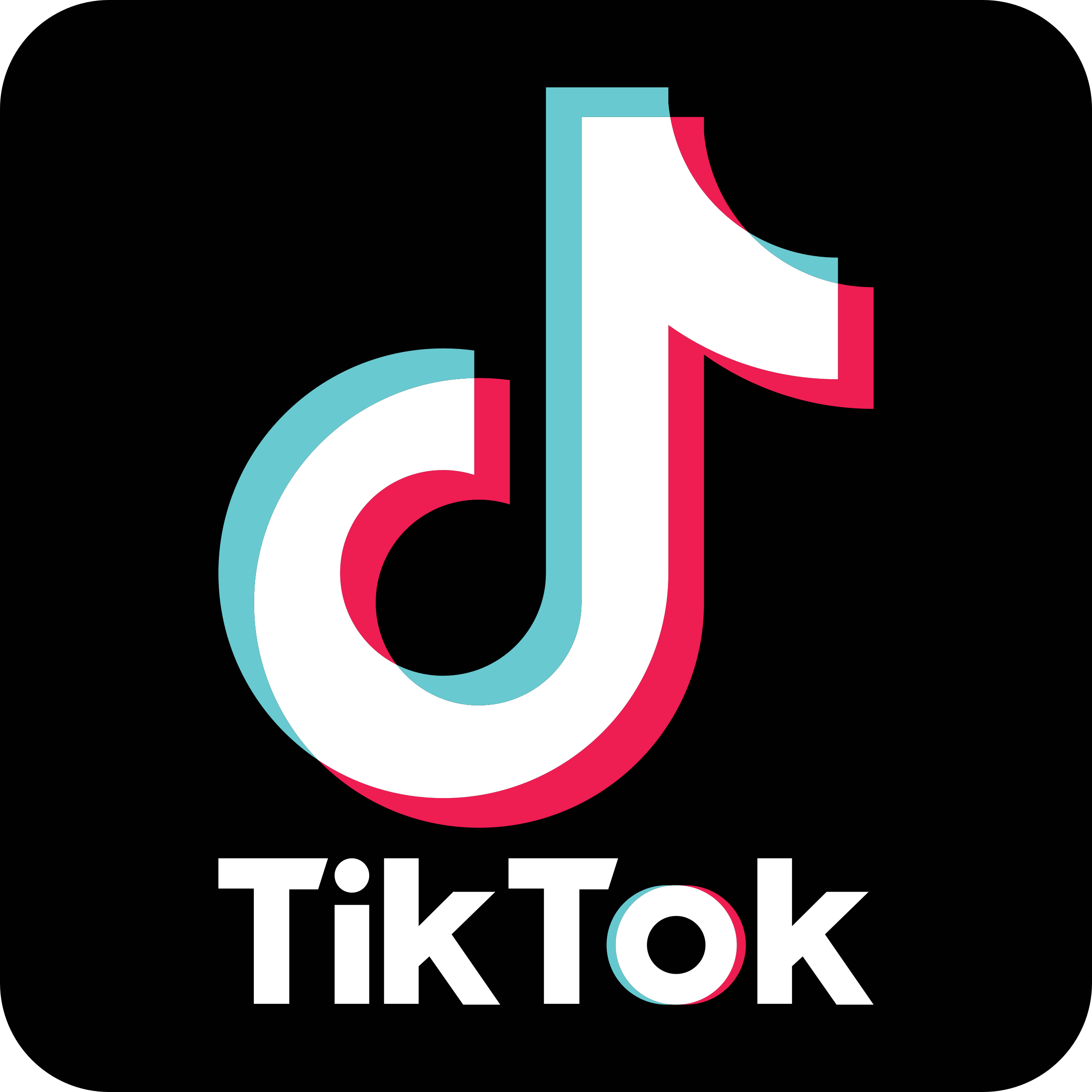 Tiktok LIttle Cocoa 